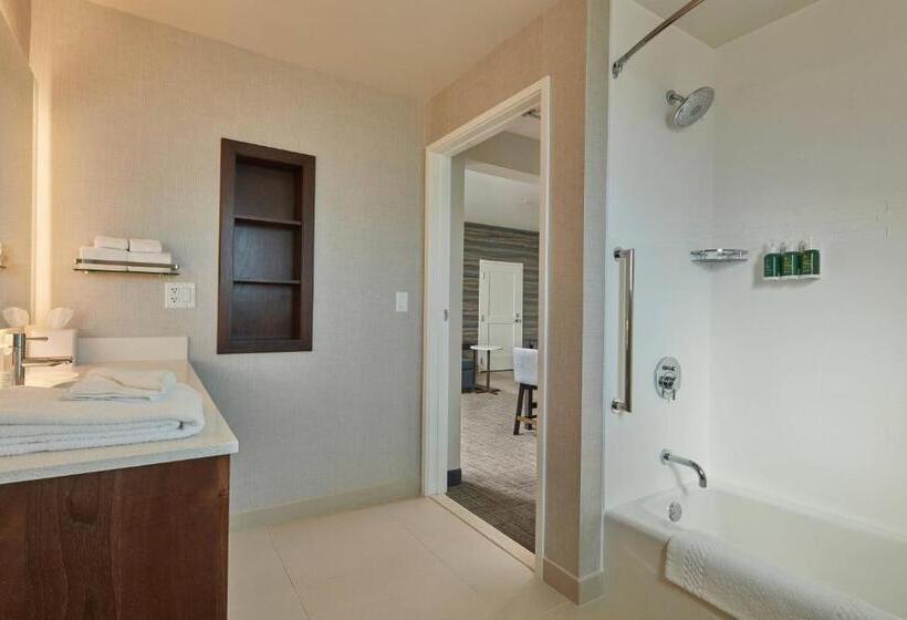 스위트 킹사이즈 침대, Residence Inn Sacramento Davis