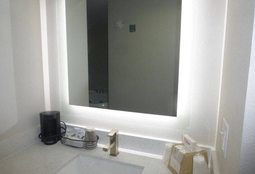 豪华房间, Red Roof Inn & Suites Mobile Sw  I10