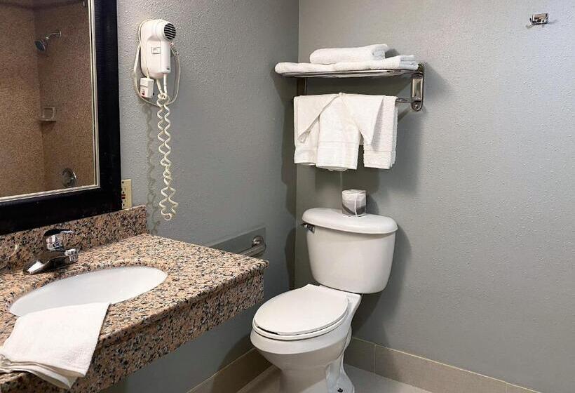 Camera Deluxe, Travelodge By Wyndham Bloomington