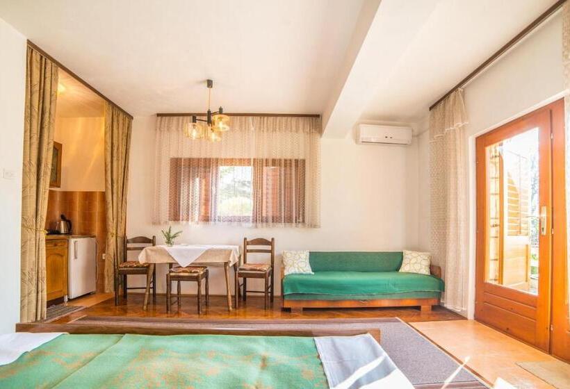 آپارتمان 1 خوابه, Apartments Antić 4255