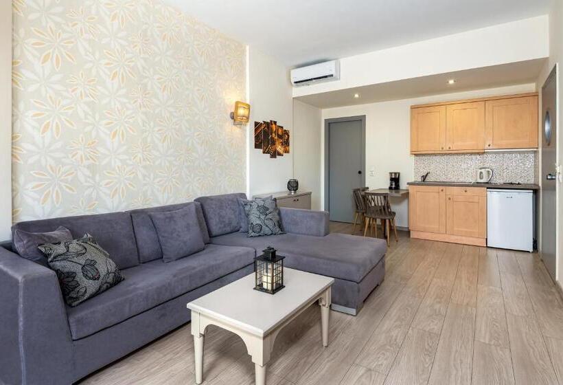 آپارتمان 1 خوابه همکف, Icarus Apartments