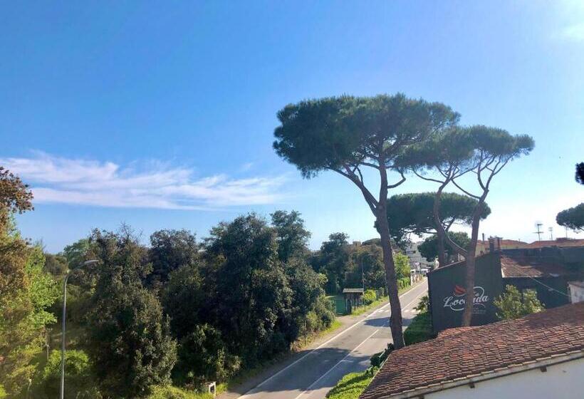 Апартаменты Пентхаус 1 Спальня, Pisa Beach Park