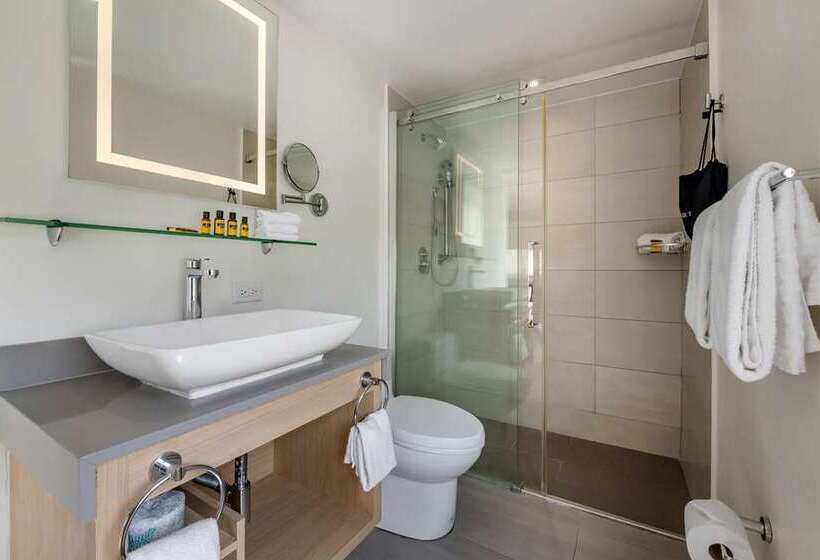 اتاق استاندارد با تخت بزرگ, Hilton Beijing Tongzhou