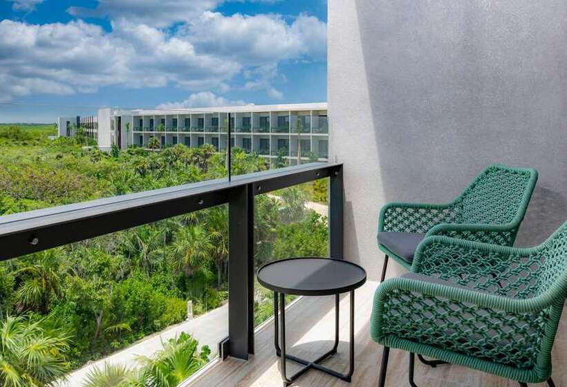 اتاق استاندارد با تخت بزرگ, Hilton Beijing Tongzhou