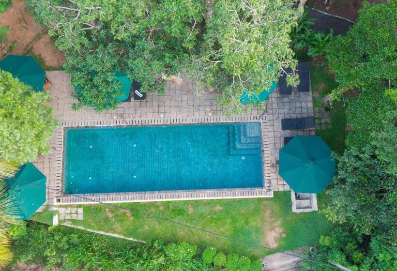 Вилла Superior 1 Спальня, Villa Hillcrest
