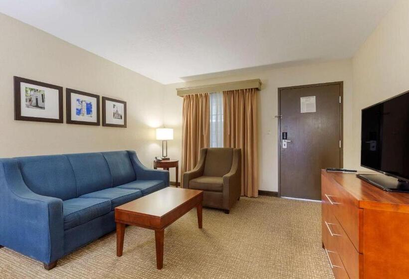 Люкс, Comfort Suites Fredericksburg South
