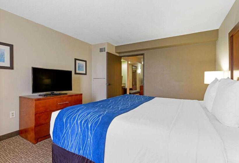 Люкс Кровать Кинг, Comfort Suites Fredericksburg South