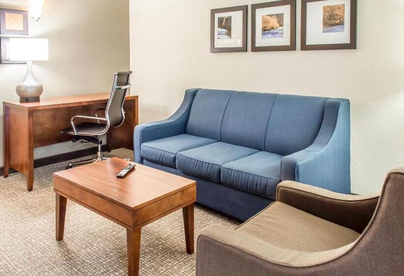 Люкс Адаптированный для Инвалидов, Comfort Suites Fredericksburg South