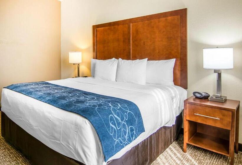 Люкс Адаптированный для Инвалидов, Comfort Suites Fredericksburg South