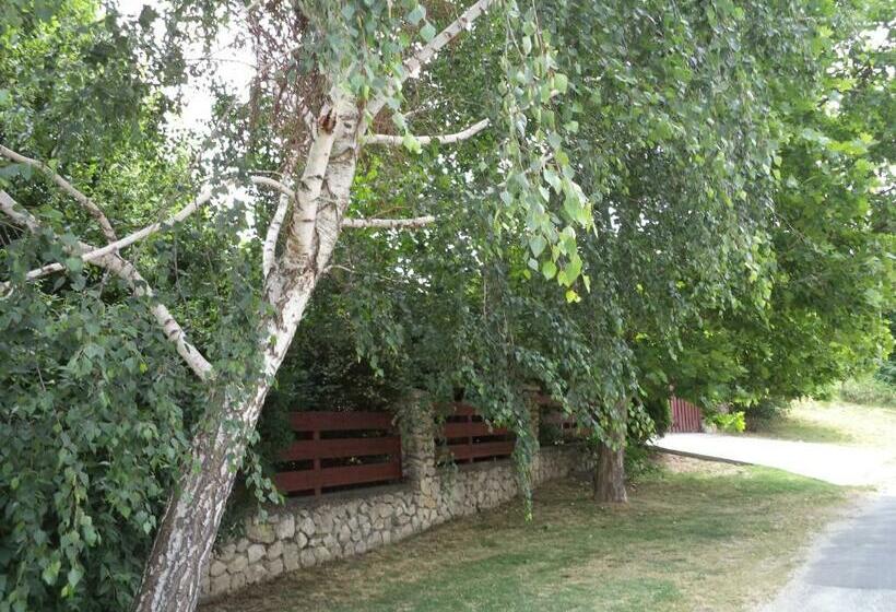 خانه 2 خوابه, Kinga House