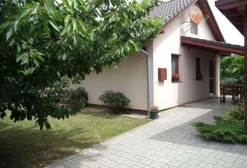 خانه 2 خوابه, Kinga House