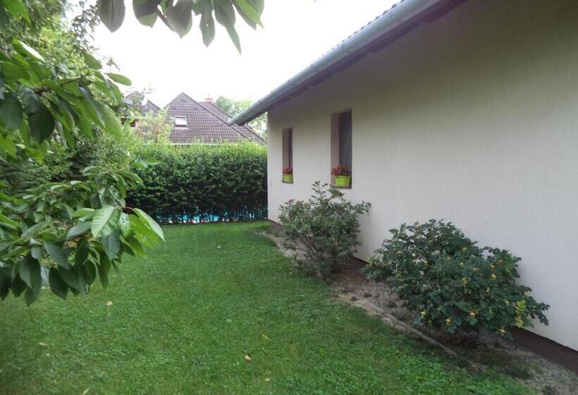 خانه 2 خوابه, Kinga House