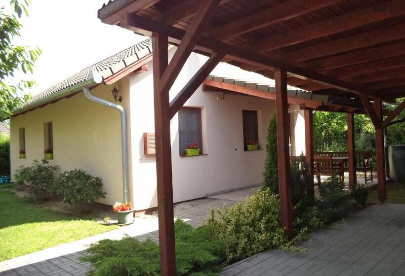 خانه 2 خوابه, Kinga House