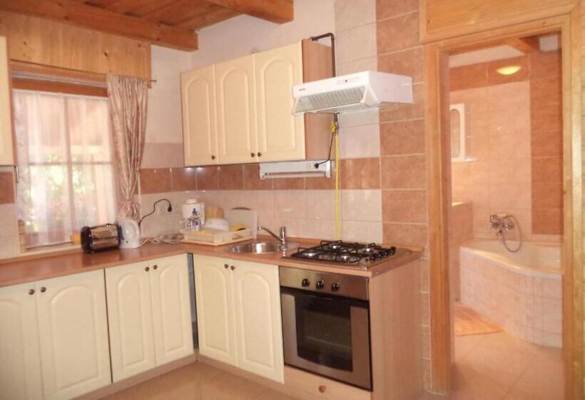 خانه 2 خوابه, Kinga House