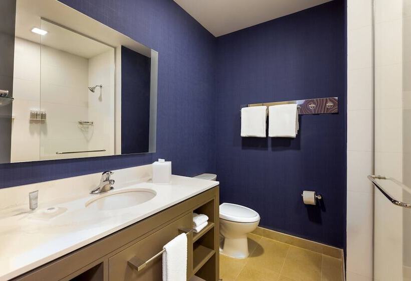 استودیوی استاندارد با تخت دوبل, Residence Inn By Marriott Merida
