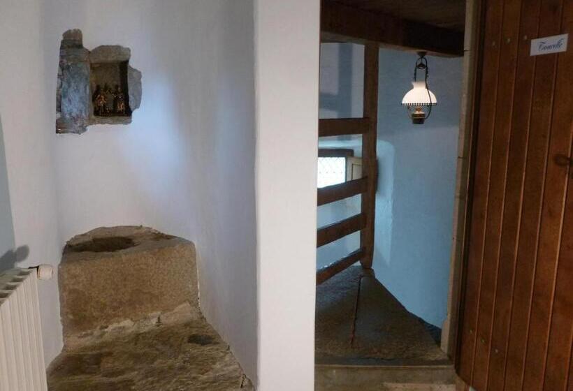 Номер Стандарт, Manoir De La Foulerie