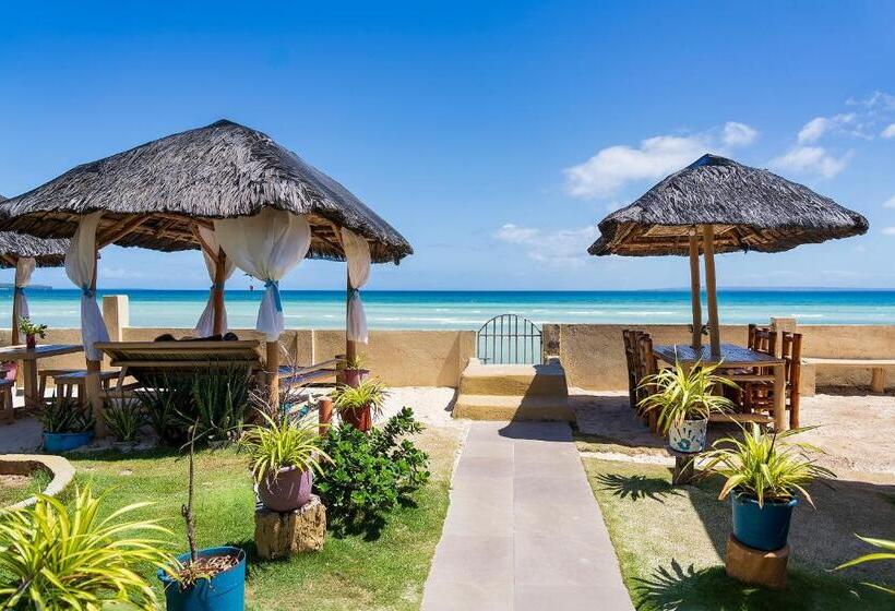 استودیوی استاندارد, Sunrise Beach Club Resort Amanecer