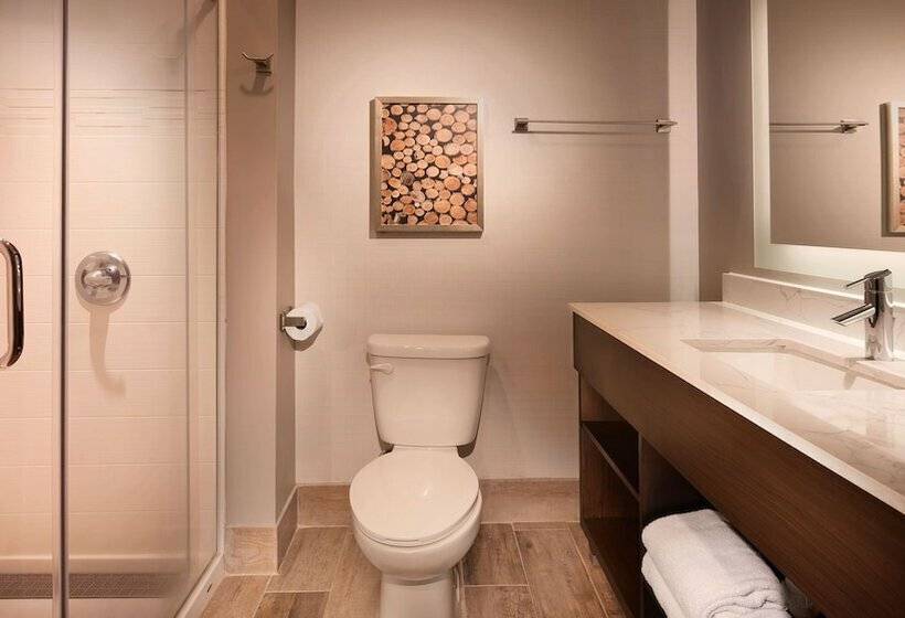 Номер Стандарт Двуспальная Кровать, Aiden By Best Western Warm Springs Hotel And Event Center
