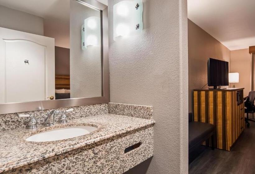 标准间, Best Western Cedar Inn & Suites