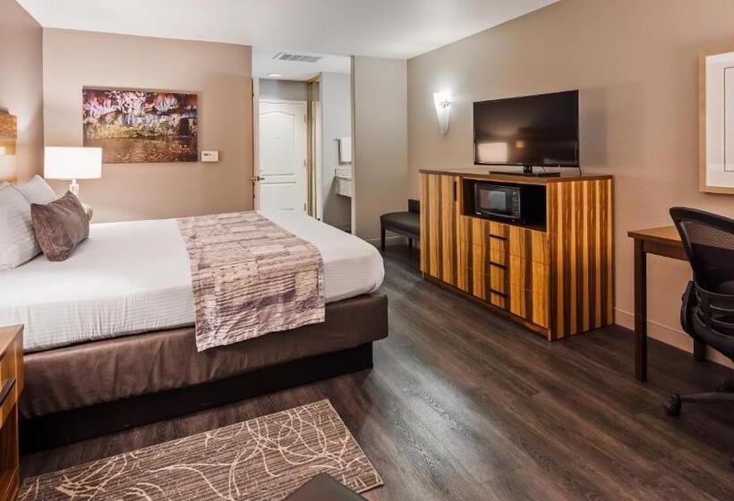 带大床的标准间, Best Western Cedar Inn & Suites