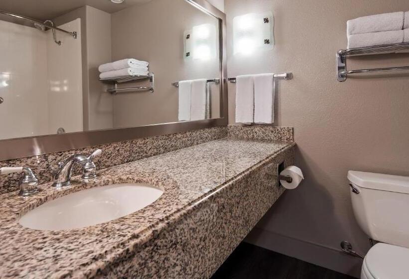 带大床的标准间, Best Western Cedar Inn & Suites