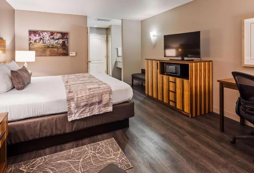 带大床的套房, Best Western Cedar Inn & Suites