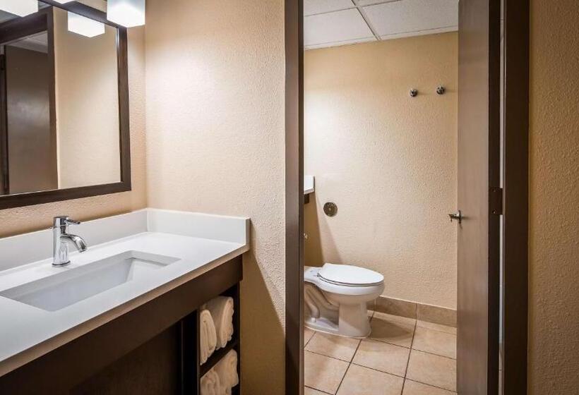스탠다드 룸 킹사이즈 침대, Best Western Corpus Christi