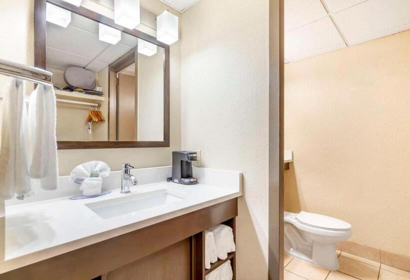 스탠다드 룸 킹사이즈 침대, Best Western Corpus Christi