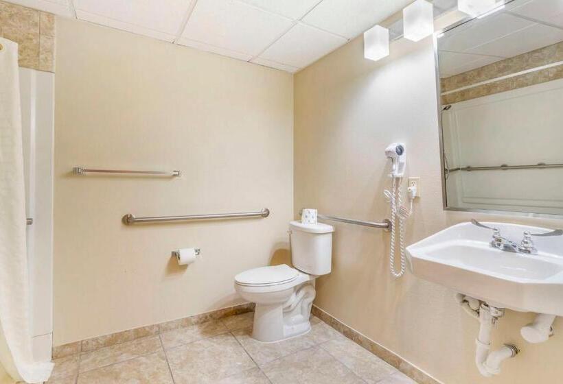 장애인을 위한 킹사이즈 침대 스탠다드 룸, Best Western Corpus Christi