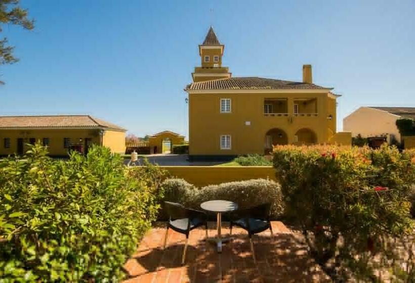 اتاق استاندارد, Vila Gale Albacora