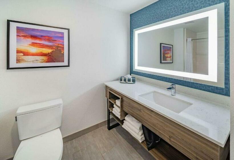 اتاق لوکس با تخت بزرگ, La Quinta Inn & Suites By Wyndham Texas City I 45