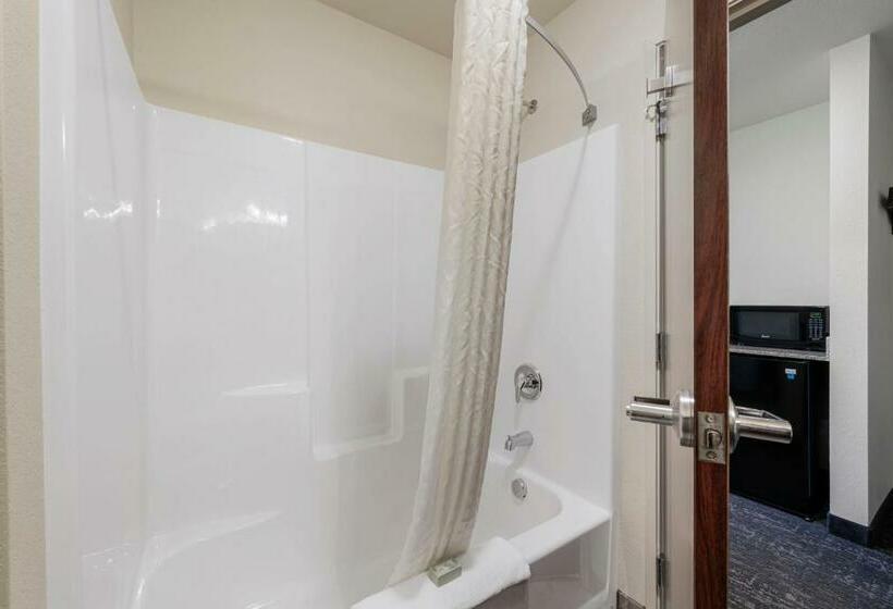 Люкс, Cobblestone Hotel & Suites   Urbana