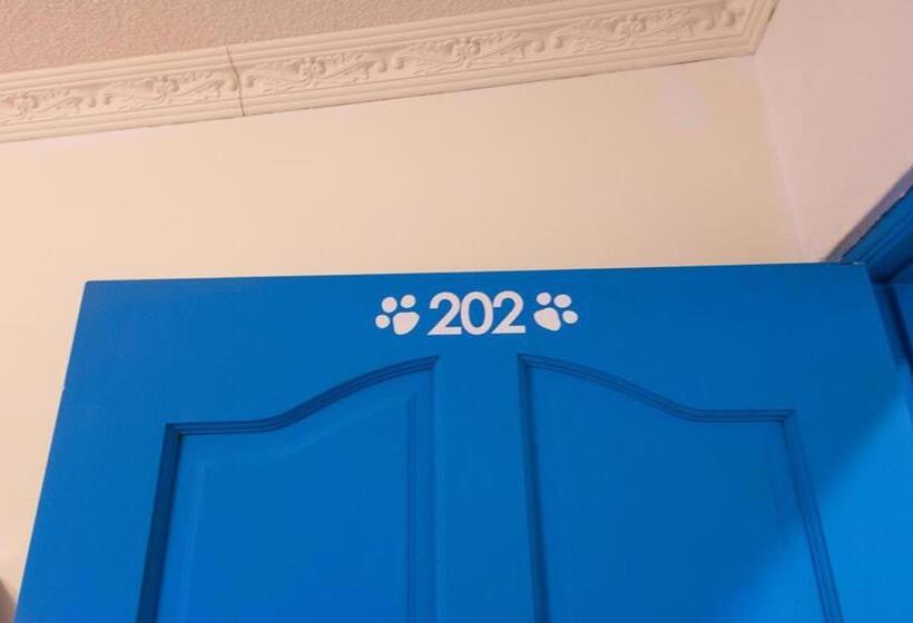 اتاق استاندارد, Dog House