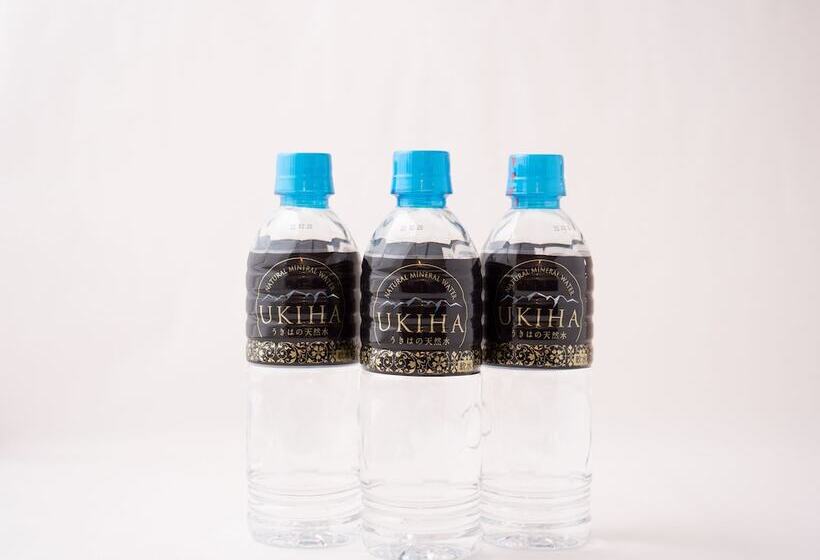 اتاق لوکس با تخت بزرگ, Front Inn Fukuoka Airport