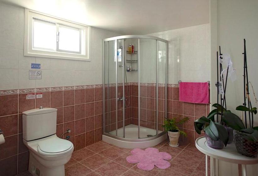 اتاق استاندارد سه تخته با بالکن, Enter Hostel