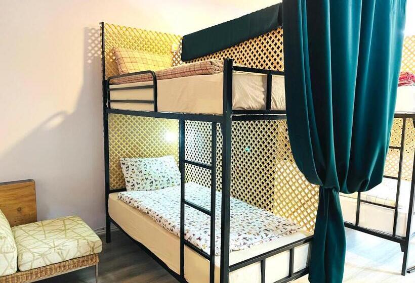 اتاق استاندارد سه تخته با بالکن, Enter Hostel