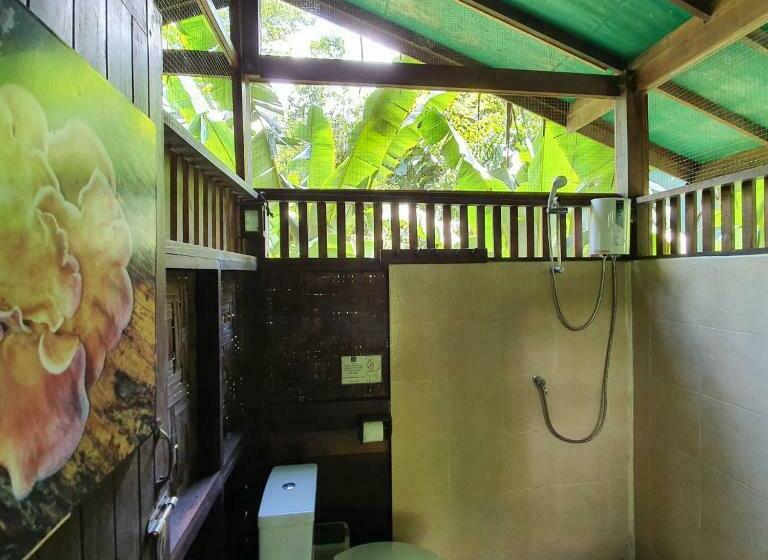 Номер Стандарт Трехместный, Our Jungle House