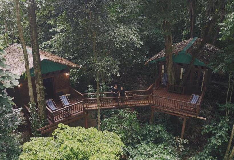 Номер Стандарт, Our Jungle House