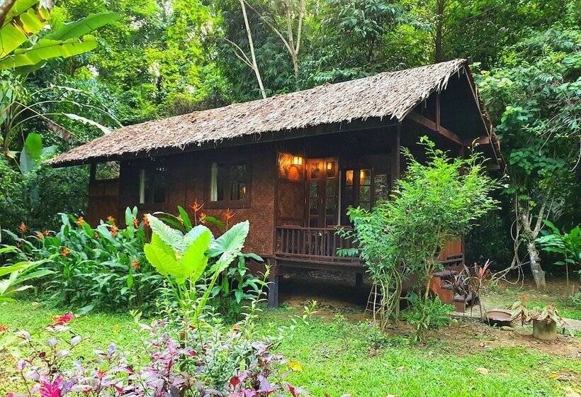Бунгало Стандарт, Our Jungle House