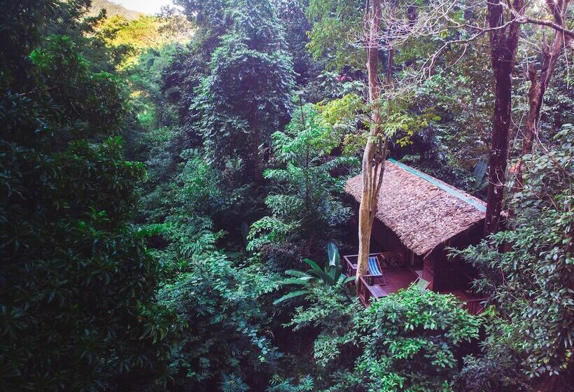 Дом 1 Спальня, Our Jungle House
