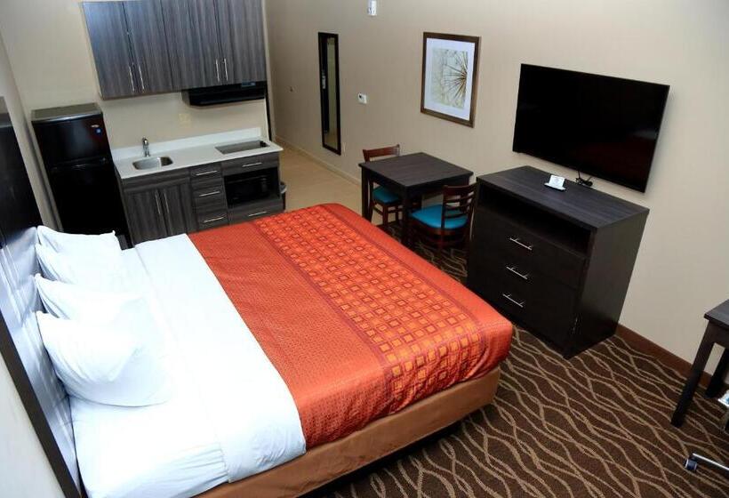스탠다드 룸 킹사이즈 침대, Americas Best Value Inn & Suites Prairieville