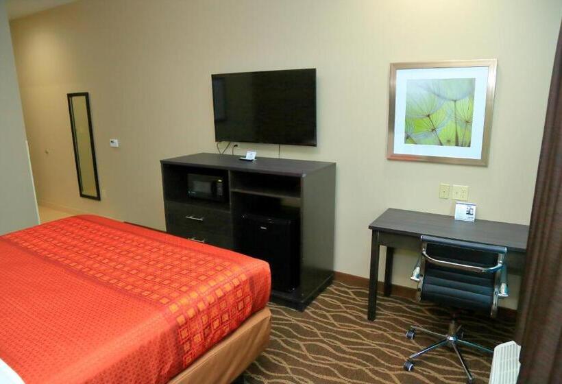 장애인을 위한 킹사이즈 침대 스탠다드 룸, Americas Best Value Inn & Suites Prairieville