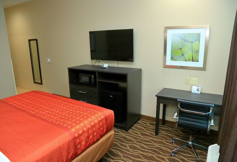 스탠다드 룸 더블 침대, Americas Best Value Inn & Suites Prairieville