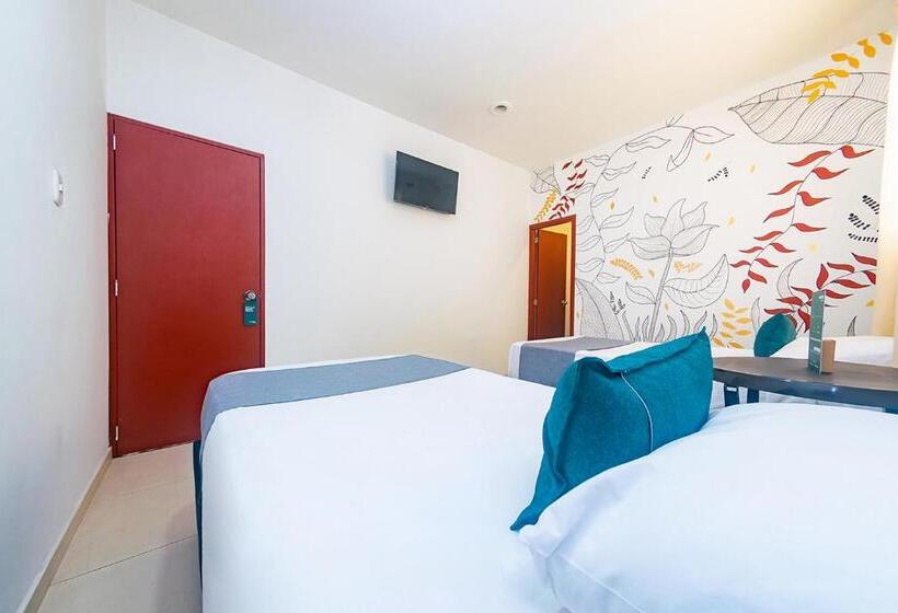 スタンダードルーム, Hostal Amanari