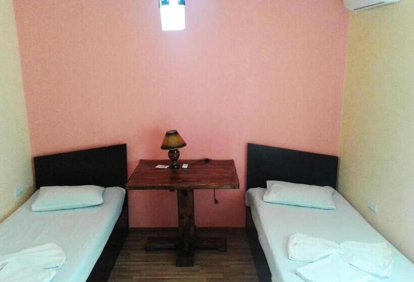 اتاق استاندارد با 2 تخت دوبل, Domino Yerevan Hostel