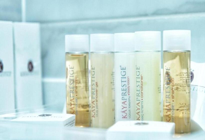 اتاق استاندارد, Kaya Prestige Oteli