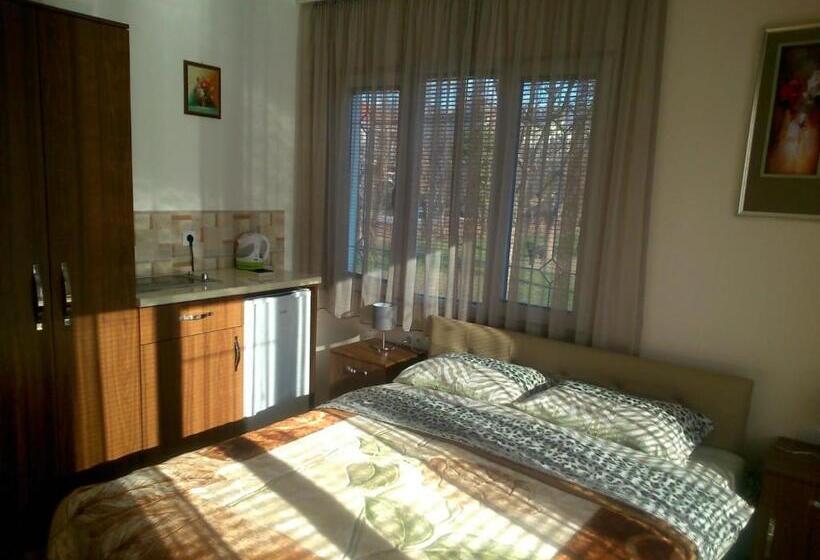 اتاق استاندارد با بالکن, Villa Efes Ohrid