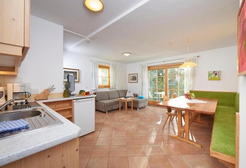 Апартаменты 1 Спальня с Террасой, Appartement Hotel Sonneck