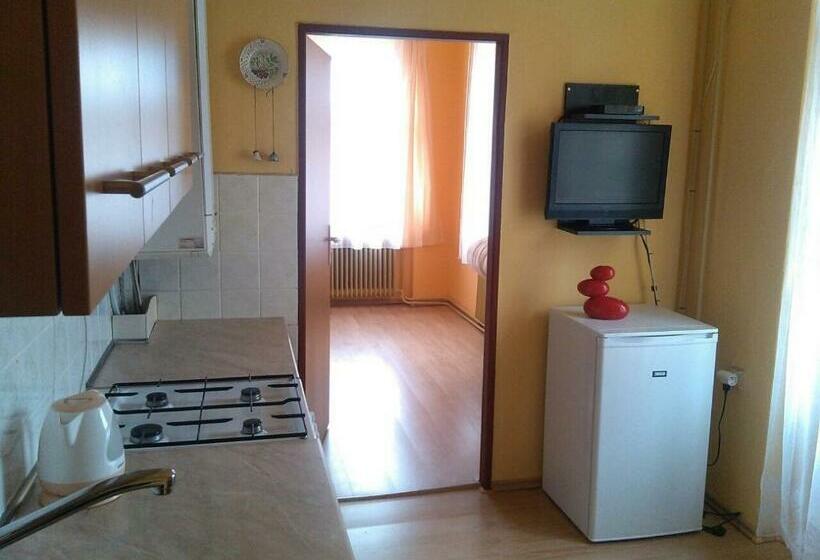 آپارتمان 1 خوابه, Pension Vidhous 1