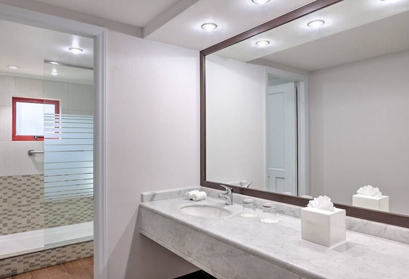 豪华房间, Four Points by Sheraton Santiago